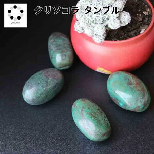 N\R  ^u MTCY 1  ]E CeA A}Xg[ }N C[ANZT[ p  ݂ǂ pasmii