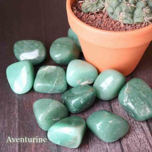 O[ Ax` ^u XLTCY 1 VR p[Xg[ u  }N C[ANZ v[g  ANZT[ C[ANZ 蕨 N ݂ǂ pasmii