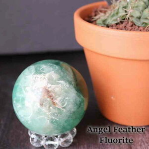 GWFtFU[ t[Cg ۋ XtBA 49mm  VR p[Xg[ u q[OXg[ 