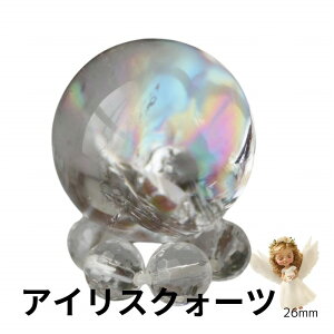 ACX NH[c   26mm  ۋ ۋ  VR XtBA v[g C{[NH[c fB[X Y NX}X