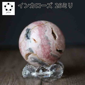 CJ[Y ۋ XtBA [hNTCg 26mm  CeA VR p[Xg[ v[g GlM[`[W