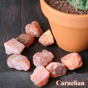 _N[|zz^ J[lA  STCY 1 VR JZhj[  }N C[ANZT[ IW  VR΃^u q[O Xg[ q[OXg[ 