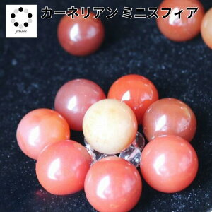 J[lA ~j XtBA 20mm 1 VR p[Xg[ u CeA   gʐ JZhj[ sph