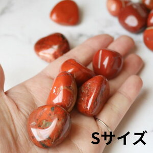 bhWXp[ ^u 1 VR p[Xg[  N  Г  \͌  ԃIW pasmii