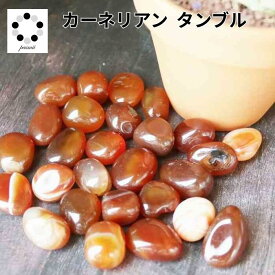 カーネリアン タンブル S～2Lサイズ 1個 天然石 カルセドニー 握り石 マクラメ ワイヤーアクセサリー オレンジ 石 天然石タンブル ヒーリング ストーン ヒーリングストーン プレゼント 贈り物 夫婦円満 インテリア 赤オレンジ pasmii