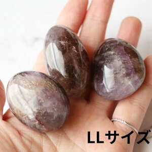 VR Ag ^u 1 AWXg Vg   v[g Mtg 蕨  q[O Xg[ Pasmii