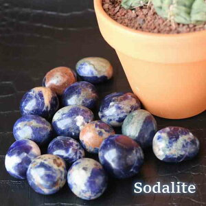 \[_Cg ^u STCY 1 VR p[Xg[ u CeA }N҂ nhCh RNV p[Xg[  pasmii ق