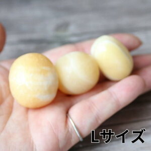 nj[ JTCg ^u 1 VR p[Xg[  u CeA v[g fB[X Y LOi LO a 蕨 Mtg