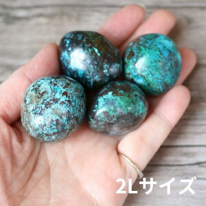 VR tFjbNXXg[ N\R  ^u 1 ]E P  CeA A}Xg[ }N C[ANZT[   ݂ǂ pasmii