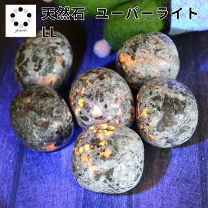 [p[Cg ^u LLTCY 1 VR  }N C[ANZT[ IW  VR΃^u q[O Xg[ q[OXg[ v[g 蕨 CeA 