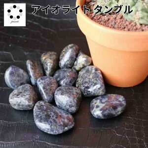 i ACICg ^u XS`LTCY 1 CeA VR p[Xg[ 9a ISiCg  ݂ v[g }N C[ANZ ANZT[    p