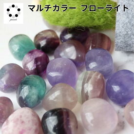 マルチカラー フローライト タンブル XS～Lサイズ 1個 Fluorite 浄化 インテリア 蛍石 天然石 パワーストーン 置物 石 Stone 開運 インテリア 鉱石 天然石 多肉植物 植物 化粧石 敷石