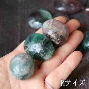 }`J[ t[Cg ^u XS`LTCY 1 Fluorite  CeA u VR p[Xg[ u  Stone J^ CeA z VR A A ϐ ~