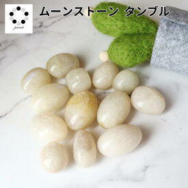 ムーンストーン タンブル 1個 天然石 パワーストーン 置物 レディース メンズ ヒーリングストーン 癒し コレクション 月光石 プレゼント ギフト 黒白透 pasmii