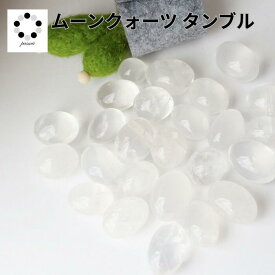 ムーンクォーツ タンブル S～Lサイズ 1個 ムーン クォーツ プレゼント 浄化 虹水晶 天然石 スフィア プレゼント 贈り物 レインボークォーツ コレクション マクラメ編み 黒白透 pasmii