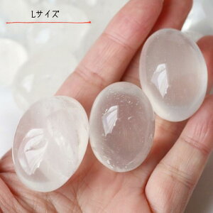 [NH[c ^u S`LTCY 1 [ NH[c v[g   VR XtBA v[g 蕨 C{[NH[c RNV }N҂  pasmii