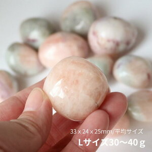 KiCg ^u S`LTCY 1 ~bNXx oCJ[ p[Xg[ ANA} KiCg p[Xg[ 