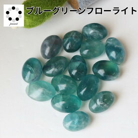 ブルー グリーン フローライト タンブル S～Mサイズ 1個 Fluorite 浄化 インテリア 蛍石 天然石 パワーストーン 置物 石 Stone 開運 インテリア 鉱石 天然石 多肉植物 植物 化粧石 敷石 青紫 pasmii