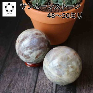 T[Xg[ ۋ XtBA 48`50mm 1 VR p[Xg[ u TXg[ [Xg[ upto