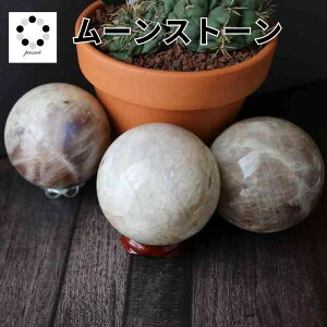 T[Xg[ ۋ XtBA 51`53mm VR p[Xg[ u TXg[ [Xg[ upto