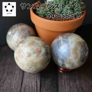 yyVX[p[SALE30OFFzT[Xg[ ۋ XtBA 54`56mm VR p[Xg[ u TXg[ [Xg[ upto