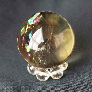 Vg ۋ  XtBA 34~ u ^Abv  VR p[Xg[ fB[X Y v[g Mtg NX}X 蕨