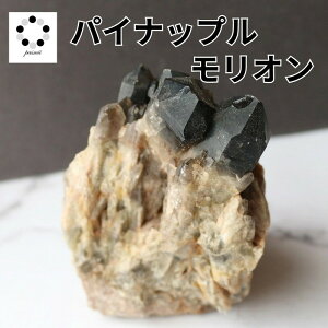 I pCibvNH[c LhNH[c 310g      VR p[Xg[  v[g Mtg fB[X Y h