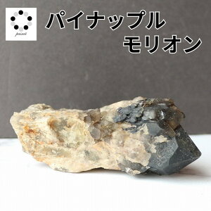 I pCibvNH[c LhNH[c 170g      VR p[Xg[  v[g Mtg fB[X Y h