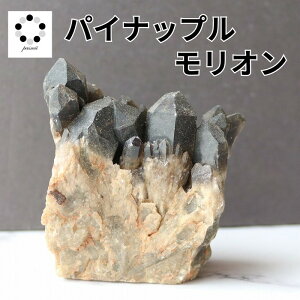 I pCibvNH[c LhNH[c 270g      VR p[Xg[  v[g Mtg fB[X Y h