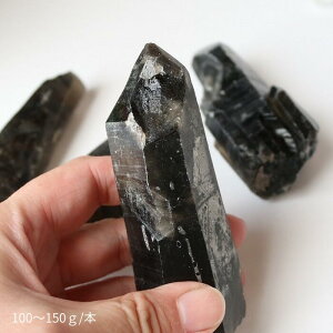 I NX^[ |Cg 30g`150gTCY 1{     VR p[Xg[  v[g Mtg fB[X Y h