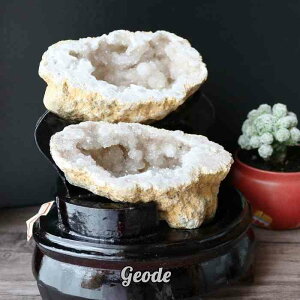 WH[h   1_ VR p[Xg[ u    u v[g 蕨 fB[X Y Mtg LO Vzj j 