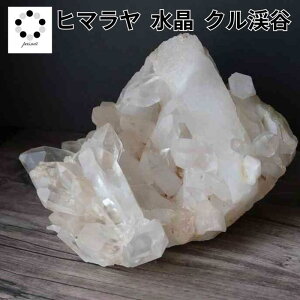 q}  NX^[ NkJY  1124g VR p[Xg[ q}Y v[g  NH[c a 4 4  j Vzj  u LO a 蕨 