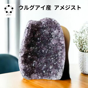 AWXg h[ WH[g    EOACY VR p[Xg[ 蕨 Vzj v[g v[g fB[X Y RNV z W{