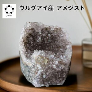 AWXg h[ WH[g    EOACY VR p[Xg[ 蕨 Vzj v[g v[g fB[X Y RNV z W{