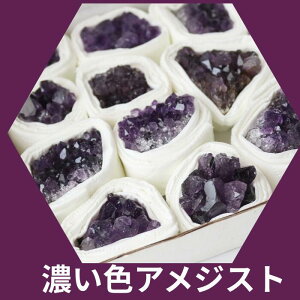 VR AWXg box NX^[  400g  VR p[Xg[ ^u ISiCg Mtg v[g C[ANZT[ z z W{ RNV A} VR̃fBt