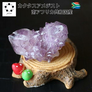 JN^X AWXg T{e Be 1_ 41g  VR NX^[ p[Xg[ Mtg v[g Mtg RNV 