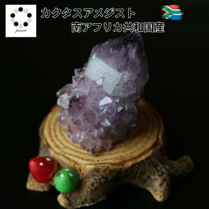 JN^X AWXg T{e Be 1_ 33g  VR NX^[ p[Xg[ Mtg v[g Mtg RNV 