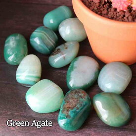 グリーン アゲート タンブル Lサイズ 1個 メノウ 瑪瑙 天然石 植物 化粧石 飾り インテリア 飾り石 みどり pasmii
