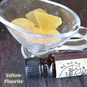 u  A}Xg[ VR CG[ t[Cg 50gu  }N C[ANZT[ IW  q[OXg[ v[g 蕨 vw~ CeA fB[