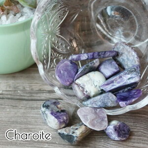 `ACg ^u  q[OXg[ 50g  CeA q[O VR p[Xg[ }N҂  pasmii