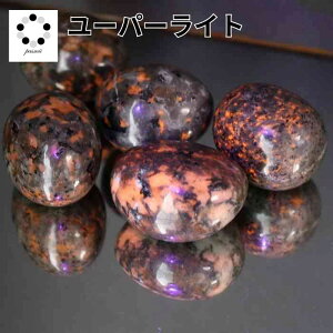 [p[Cg ^u STCY 1 VR  }N C[ANZT[ IW  VR΃^u q[O Xg[ 蕨 CeA ԃIW  pasmii ق