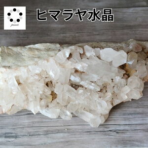 q}  NX^[ NkJY  2510g VR p[Xg[ q}Y v[g  NH[c a 4 4  j Vzj  u LO a 蕨 