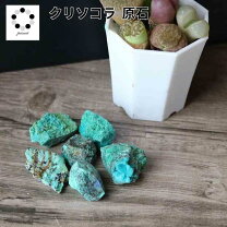 楽天市場】クリソコラの通販 