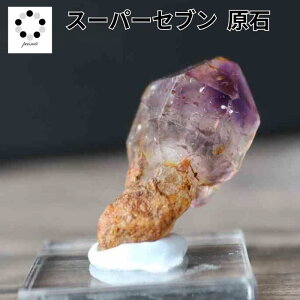 _N[|zz^ X[p[Zu  W{ t@C[NH[c shNTCgCNI[c r[Y n[NC  z ώ@ 蕨 v[g RNV