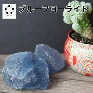 u[ t[Cg  200g  VR u  }N C[ANZT[ IW  q[OXg[ v[g 蕨 vw~ CeA fB[X Y