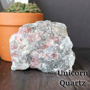 jR[ Xg[  VR p[Xg[ g} fB[X Y _CGbg v[g sN Mtg