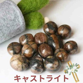 キャストライト クロスストーン 十字石 キアストライト アンダルサイト 天然石 タンブル 1個 空晶石 鉱物 コレクション 黄茶 pasmii ほへ