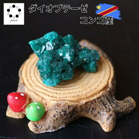 ダイオプテーゼ ダイオプテーズ 翠銅鉱 ダイオプテーゼ 1点物 鉱物 標本 天然石 置物 プレゼント ギフト 贈り物 新築祝い 緑の石 希少