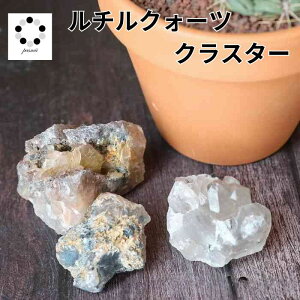 `NH[c  NX^[ 1 30`60g  ^ VR p[Xg[   CeA