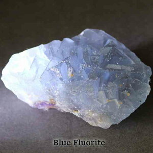 u[ t[Cg CgJ[   VR u  }N C[ANZT  q[OXg[ v[g 蕨 vw~ CeA fB[X Y